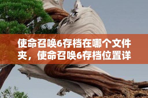 使命召唤6存档在哪个文件夹图片