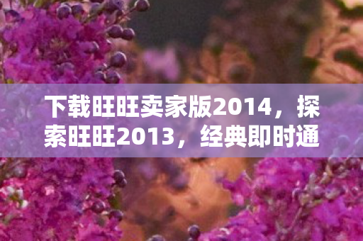 经典即时通讯工具的下载与体验图片