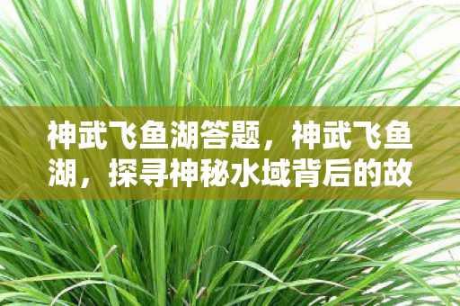 神武飞鱼湖答题，神武飞鱼湖，探寻神秘水域背后的故事与传说