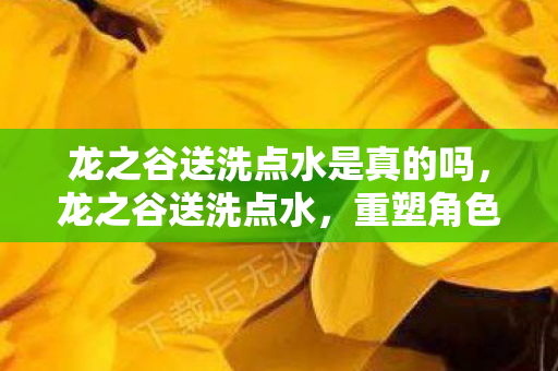 龙之谷送洗点水是真的吗图片