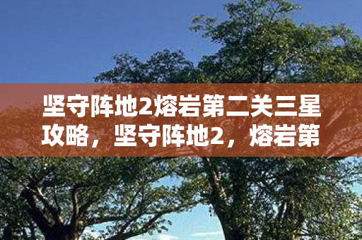 坚守阵地2熔岩第二关三星攻略图片