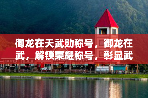 御龙在天武勋称号图片