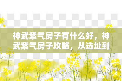 神武紫气房子有什么好，神武紫气房子攻略，从选址到装修，一步到位