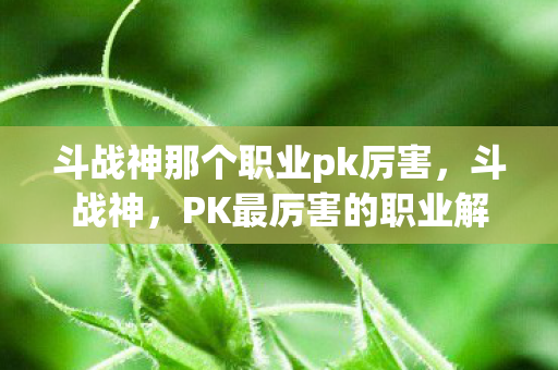 斗战神那个职业pk厉害图片
