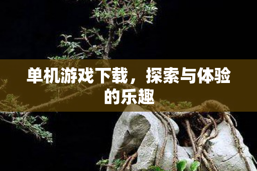 单机游戏下载，探索与体验的乐趣