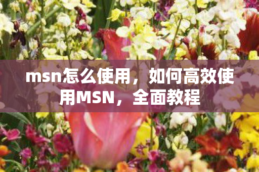 如何高效使用MSN图片