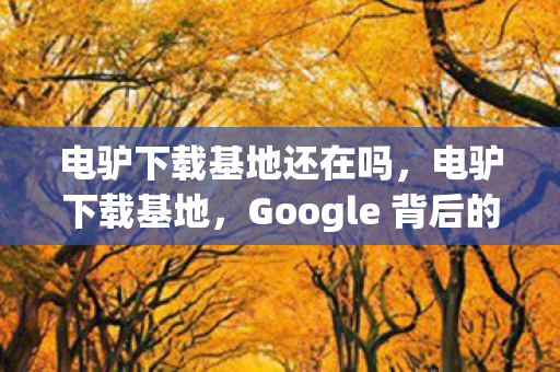 Google 背后的故事图片