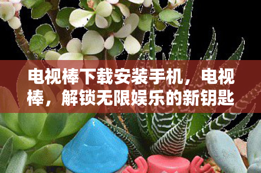 解锁无限娱乐的新钥匙图片