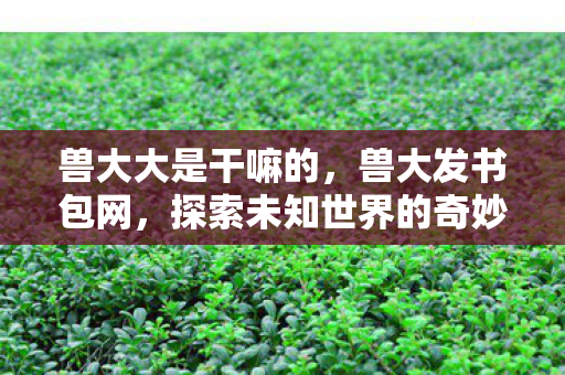 探索未知世界的奇妙之旅图片