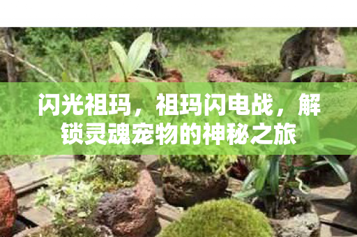 解锁灵魂宠物的神秘之旅图片