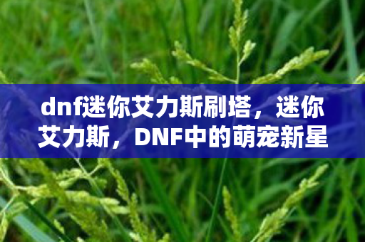 dnf迷你艾力斯刷塔图片