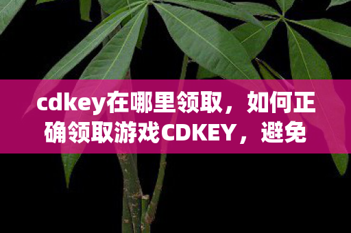 如何正确领取游戏CDKEY图片
