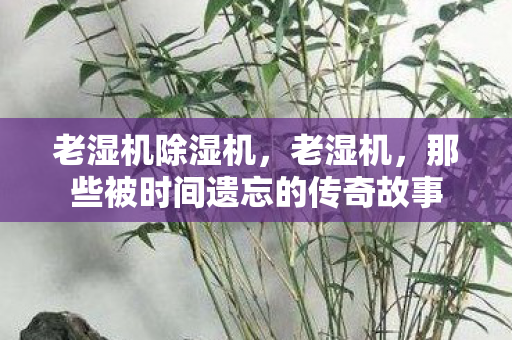 那些被时间遗忘的传奇故事图片