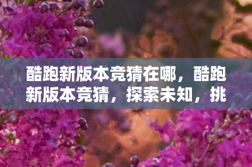 酷跑新版本竞猜在哪图片