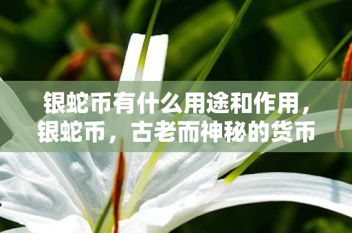银蛇币有什么用途和作用图片