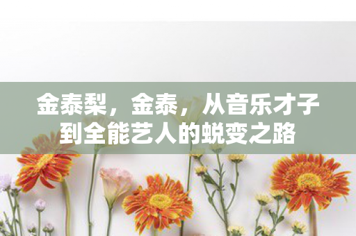 从音乐才子到全能艺人的蜕变之路图片