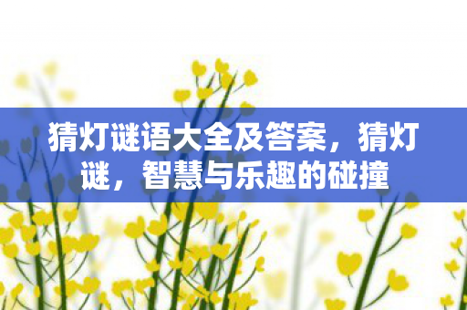 猜灯谜语大全及答案图片