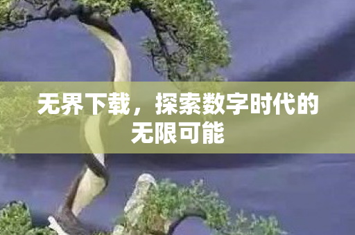 探索数字时代的无限可能图片