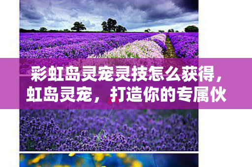 彩虹岛灵宠灵技怎么获得图片