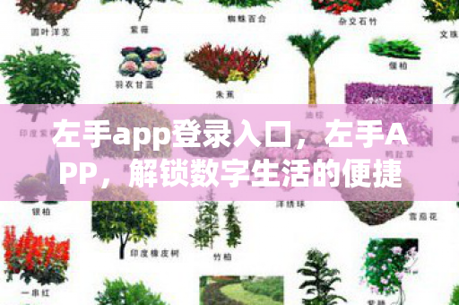 解锁数字生活的便捷钥匙图片