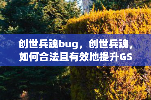 如何合法且有效地提升GS点图片