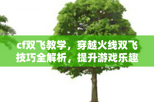 穿越火线双飞技巧全解析图片