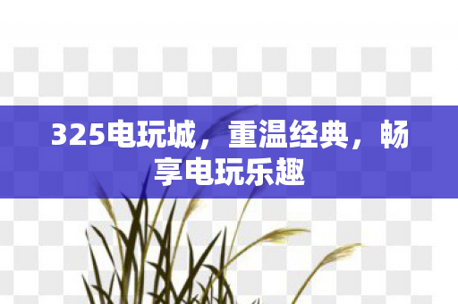 325电玩城图片