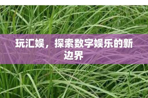 探索数字娱乐的新边界图片