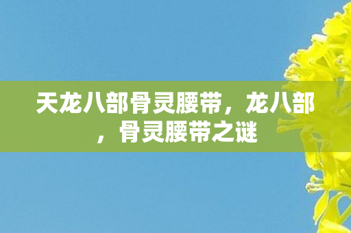 天龙八部骨灵腰带图片