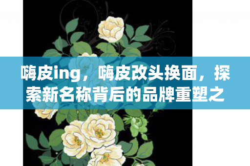 嗨皮ing，嗨皮改头换面，探索新名称背后的品牌重塑之路