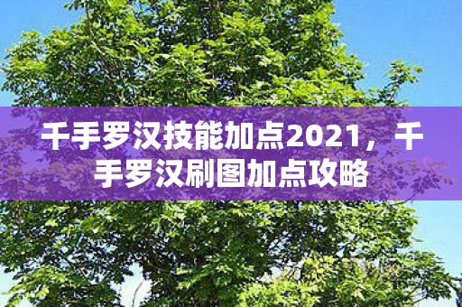 千手罗汉技能加点2021,千手罗汉刷图加点攻略 千手罗汉技能加点2021,千手罗汉刷图加点攻略