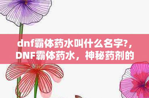 dnf霸体药水叫什么名字图片