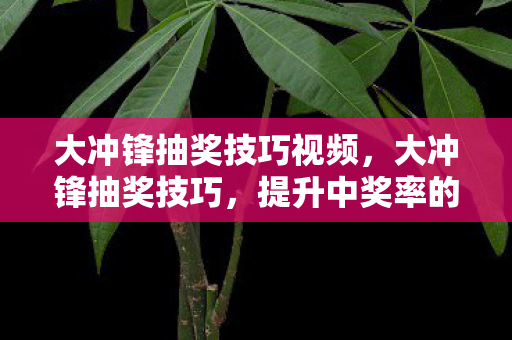 提升中奖率的实用策略图片