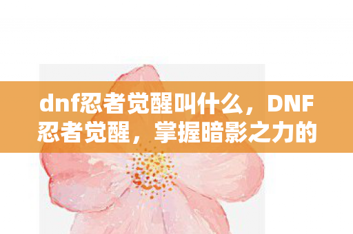 掌握暗影之力的传奇之旅图片