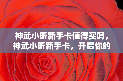 神武小昕新手卡值得买吗图片