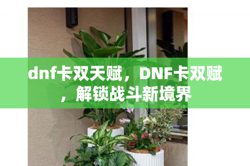 dnf卡双天赋，DNF卡双赋，解锁战斗新境界