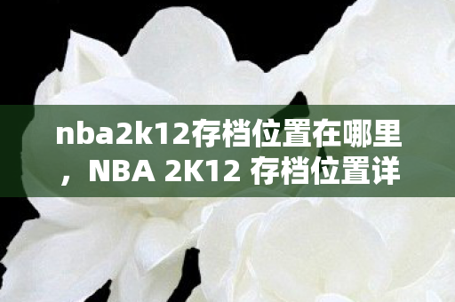 NBA 2K12 存档位置详解图片