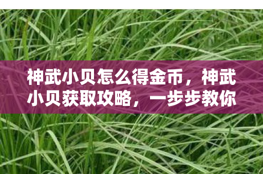 神武小贝怎么得金币，神武小贝获取攻略，一步步教你如何获得神武小贝