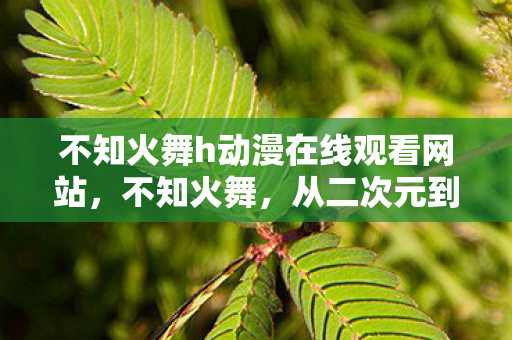 不知火舞h动漫在线观看网站图片