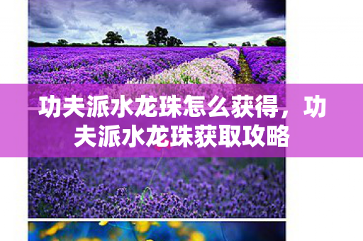 功夫派水龙珠怎么获得图片