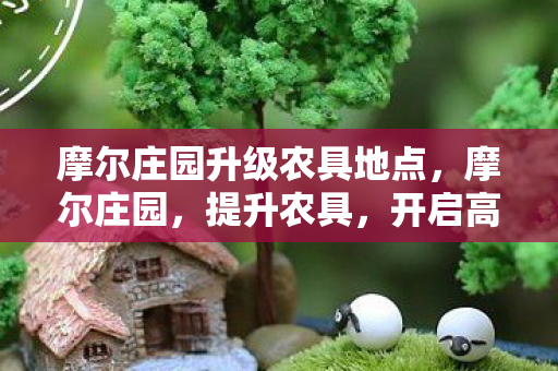 摩尔庄园升级农具地点图片