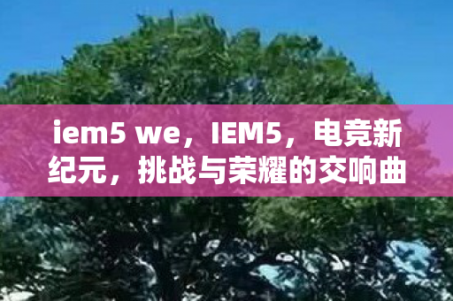 挑战与荣耀的交响曲图片