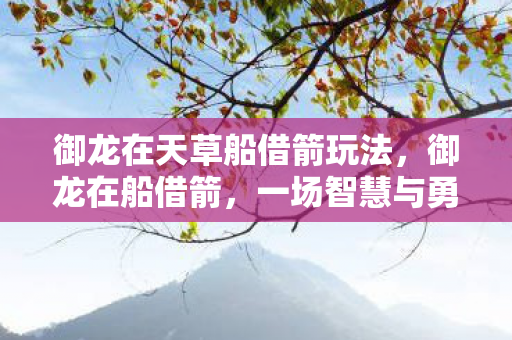 一场智慧与勇气的水上冒险图片