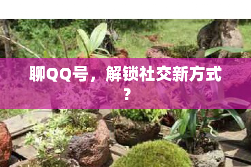 解锁社交新方式图片