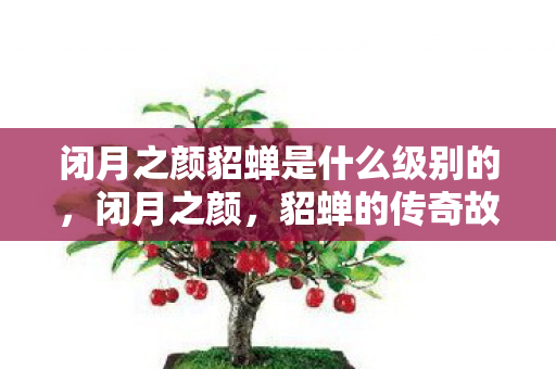 闭月之颜貂蝉是什么级别的图片