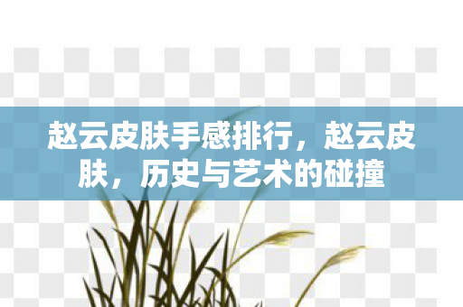 赵云皮肤手感排行图片