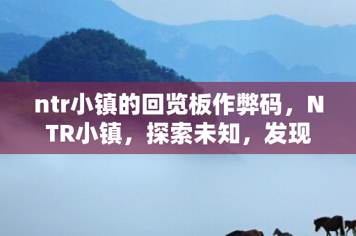 ntr小镇的回览板作弊码图片