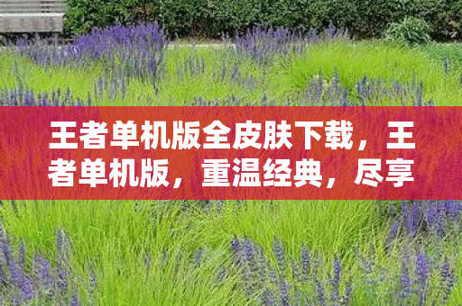 尽享单机版王者荣耀的魅力图片