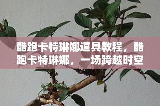 酷跑卡特琳娜道具教程图片