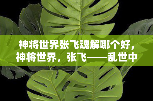 神将世界张飞魂解哪个好图片